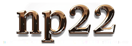 np22 logo